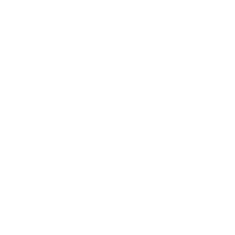 Smiles By Design - Traditional braces icon